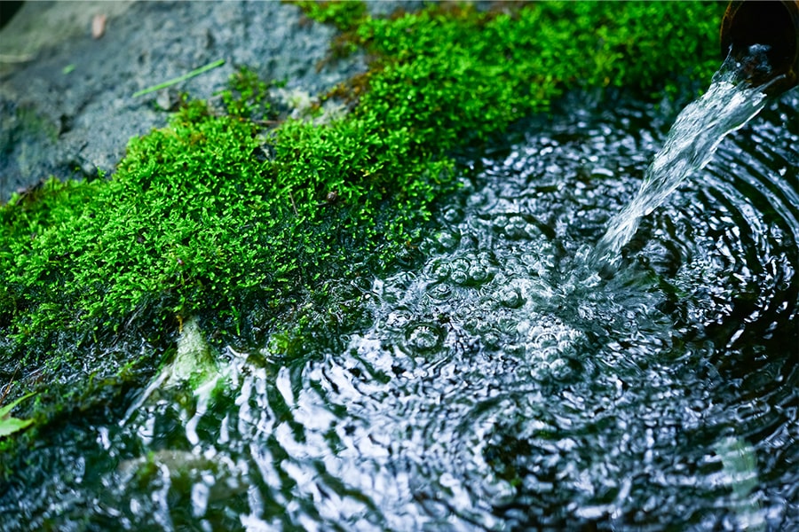 水のイメージ画像